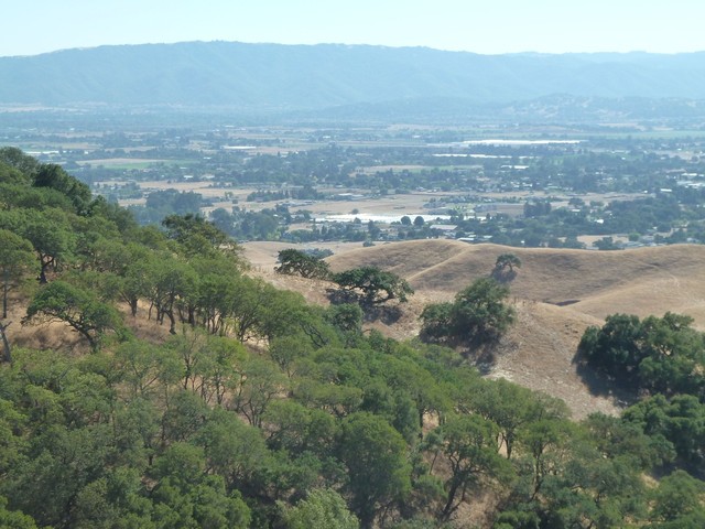 View of the South Valley from Harvey Bear Ranch