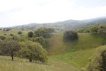 Pacheco State Park panorama