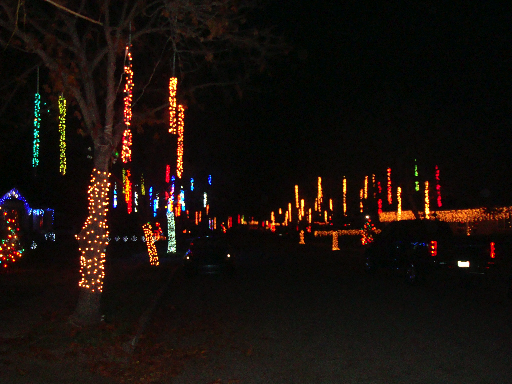 Willow Glen Holiday Lights