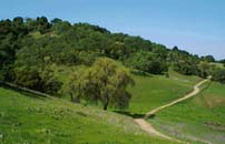 A scenic view at Calero Reservoir, 1997