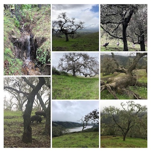 Scenes from Coyote Lake Park