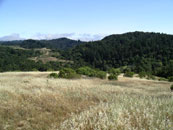 Click to enlarge - Montebello Open Space Preserve, looking from the start toward the finish (2004)