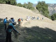 Volunteers maintaining a trail